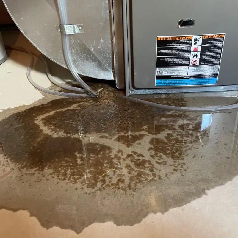 Pipe Burst and Leak Restoration in Gravel Ridge, AR