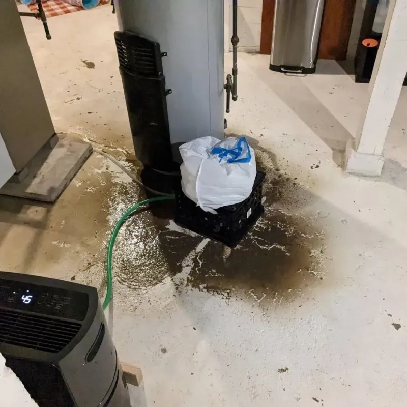 Sewage Backup Cleanup Service in Gravel Ridge, AR